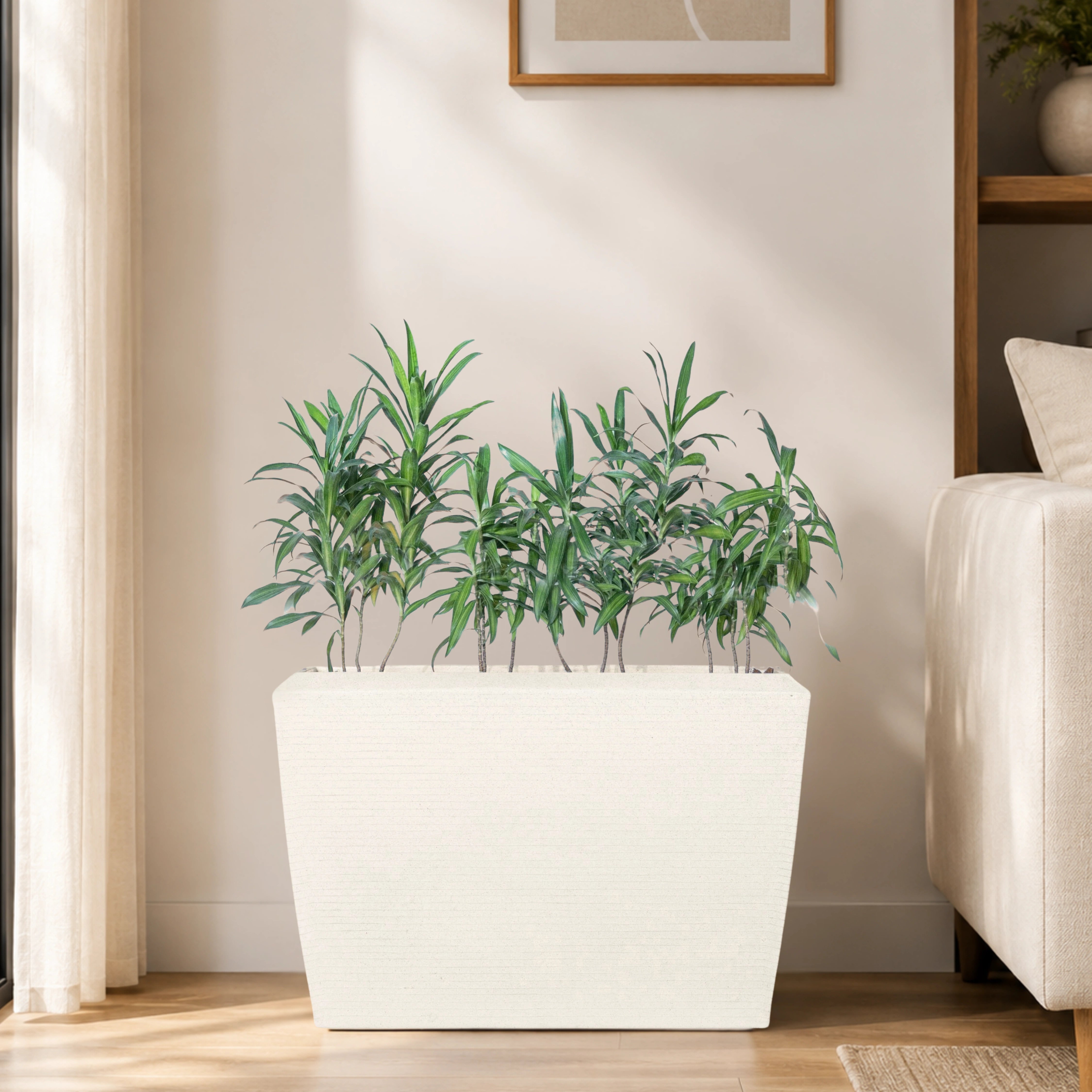 Venus Planter