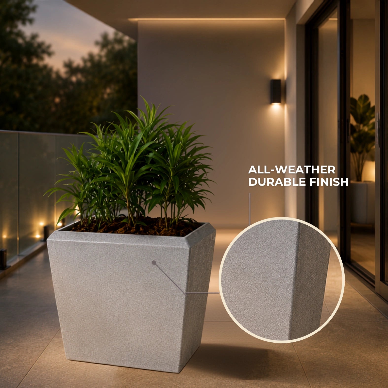 Venus Planter
