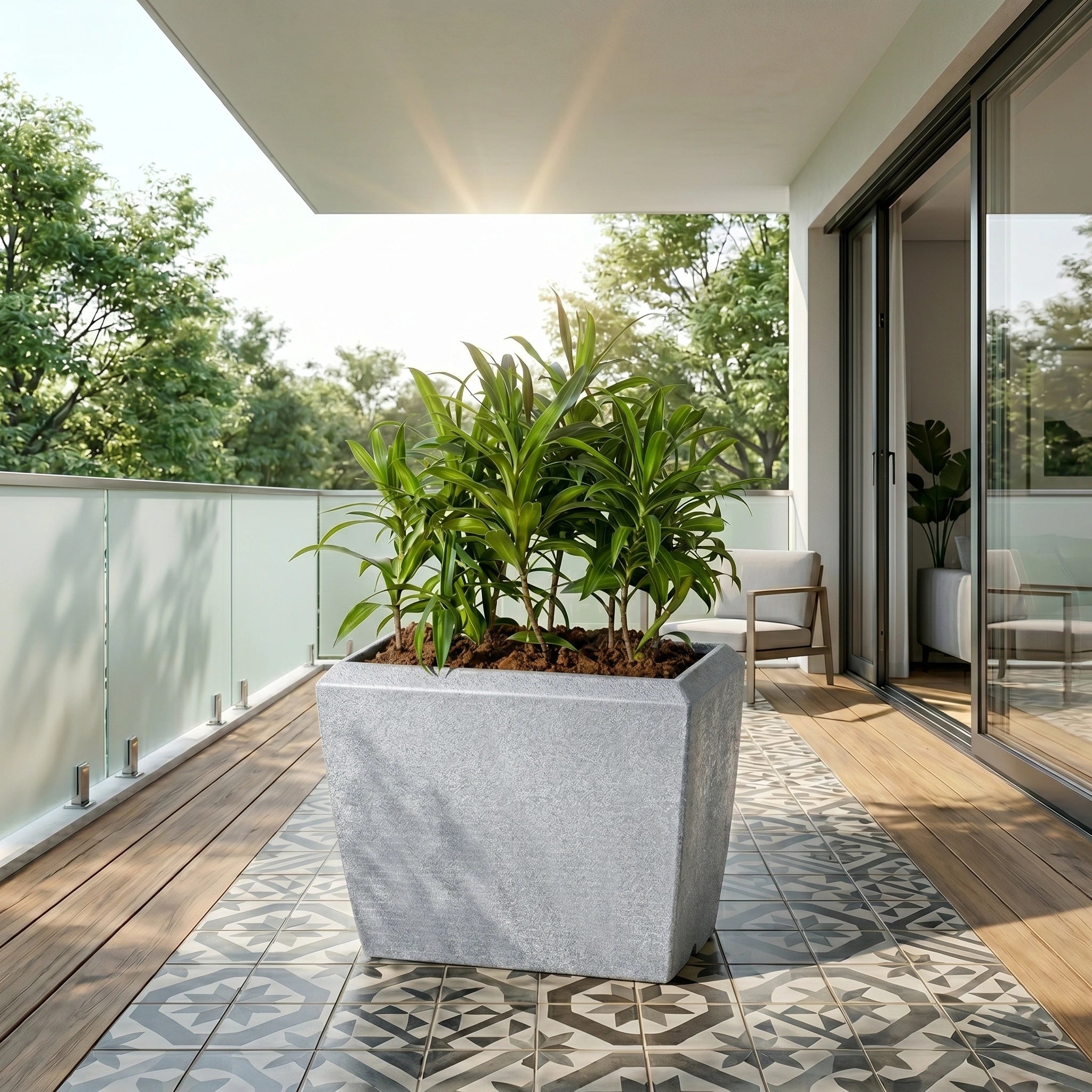 Venus Planter