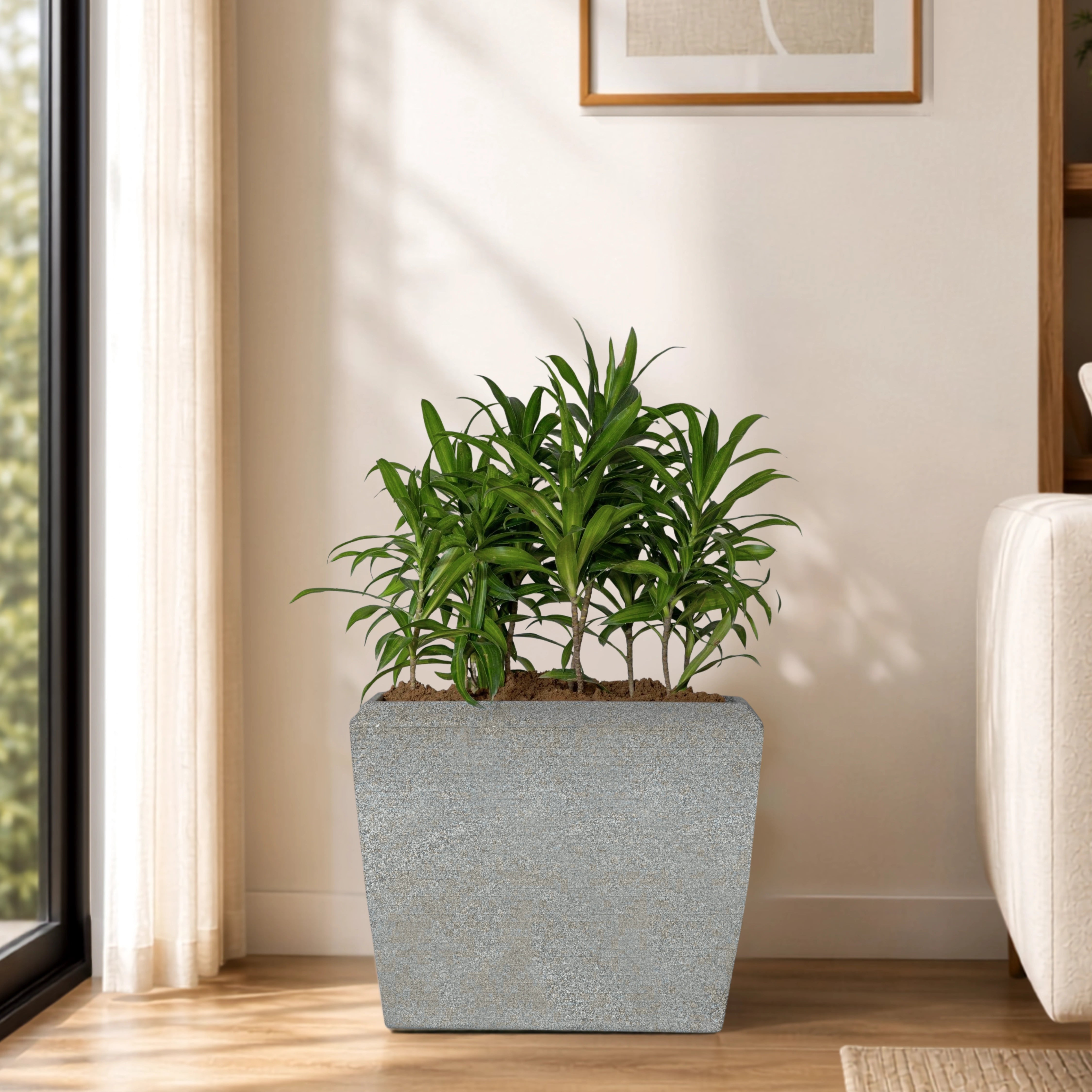 Venus Planter