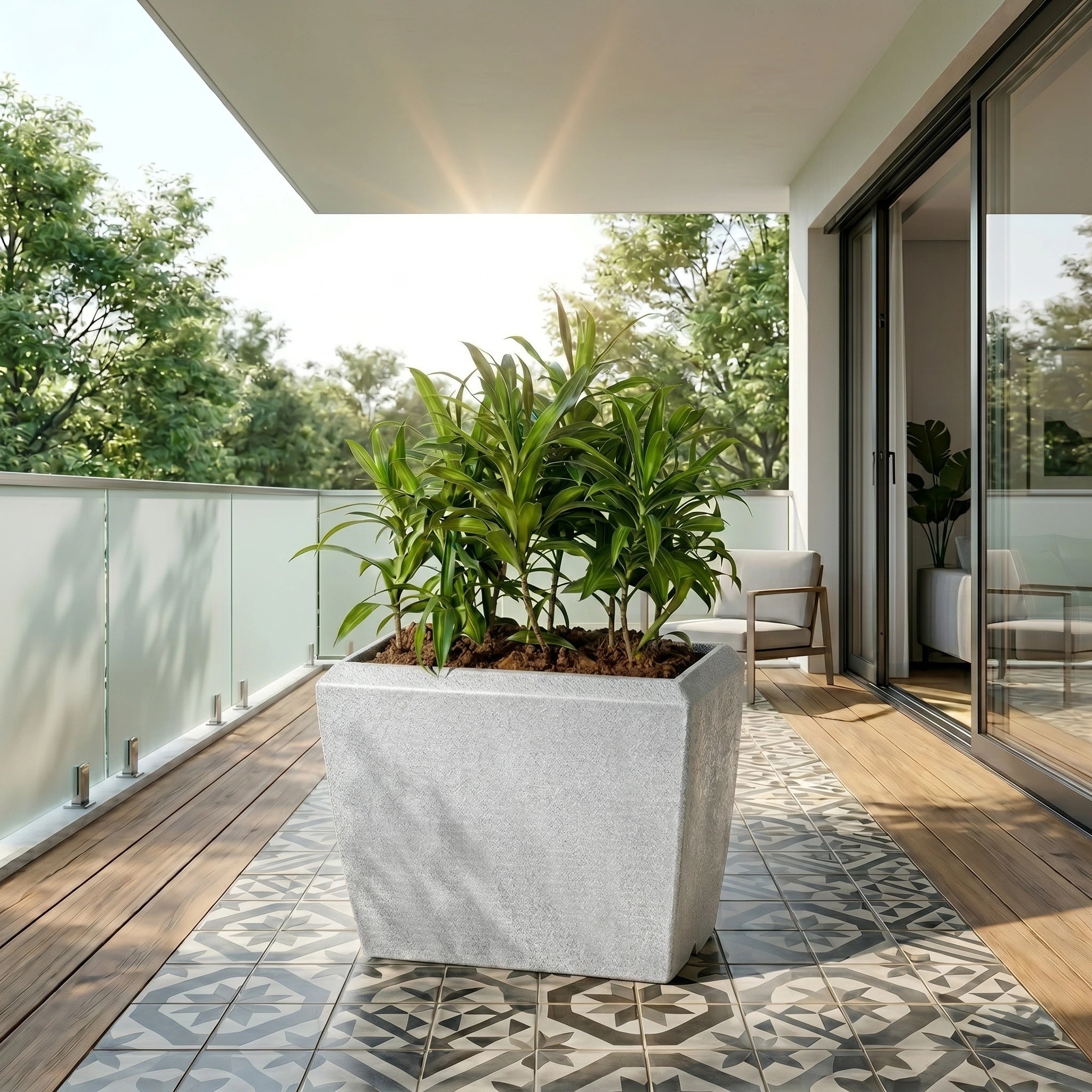 Venus Planter
