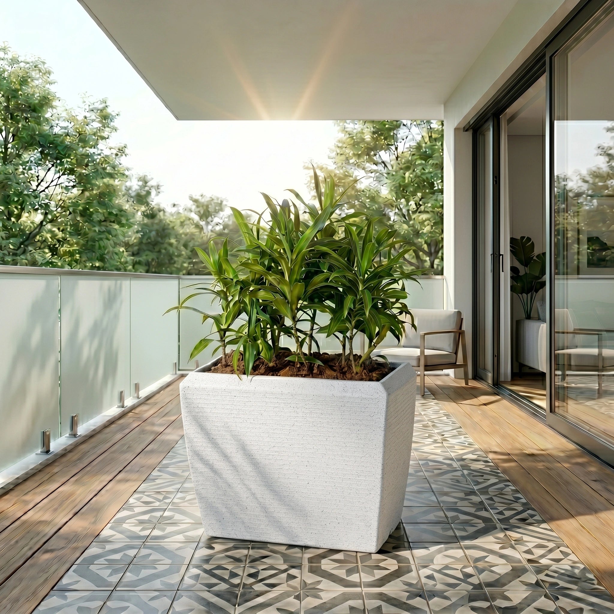 Venus Planter