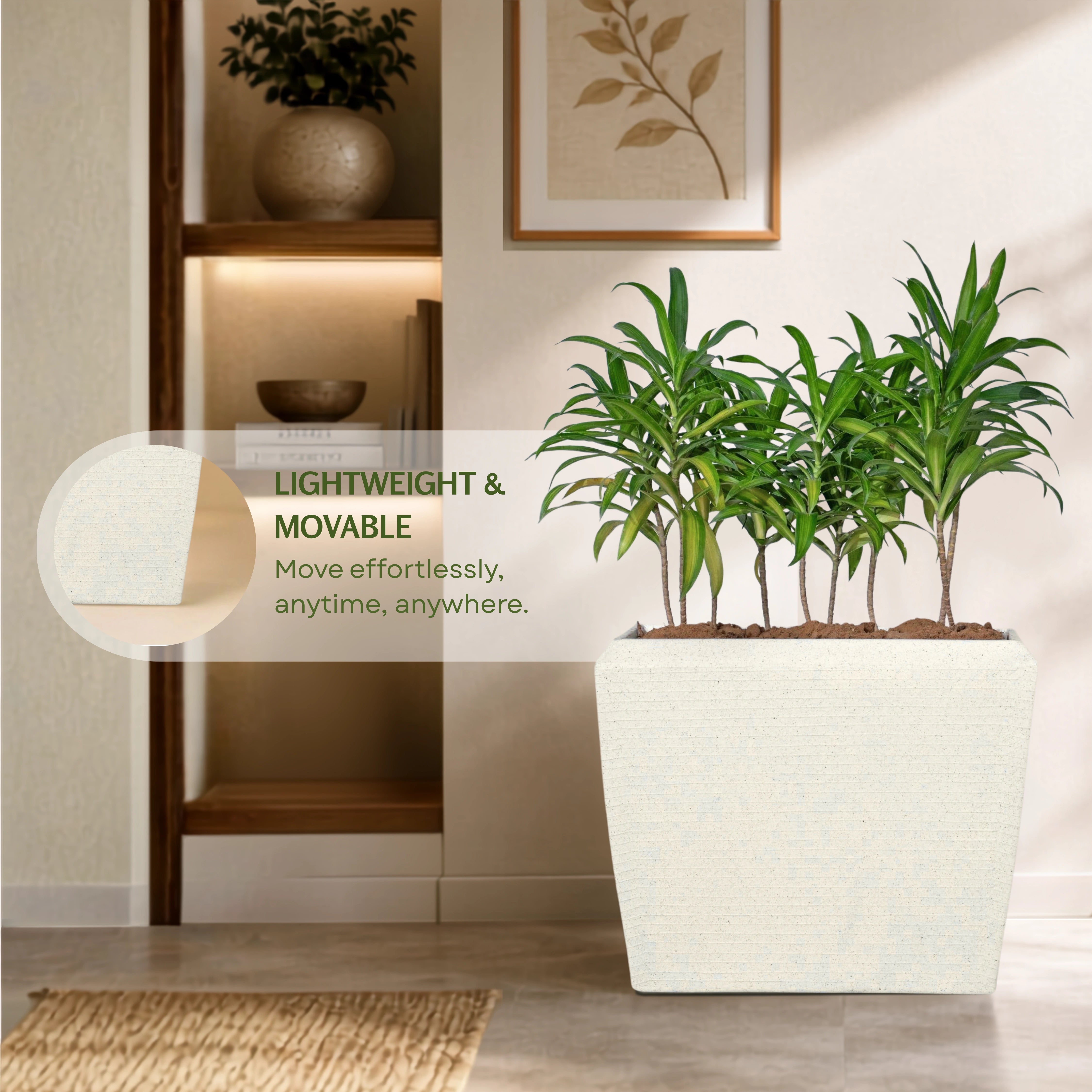 Venus Planter