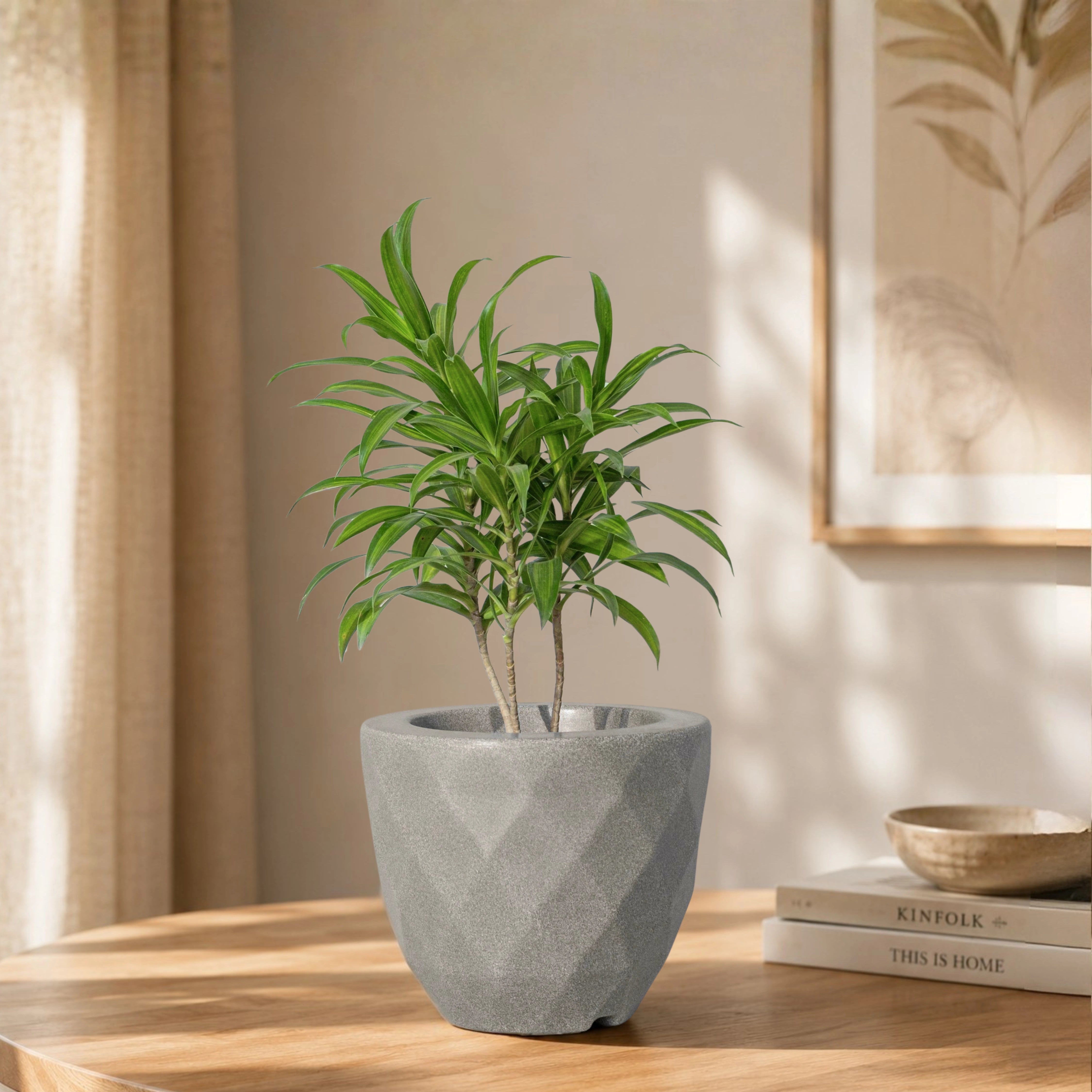 Vaz Planter