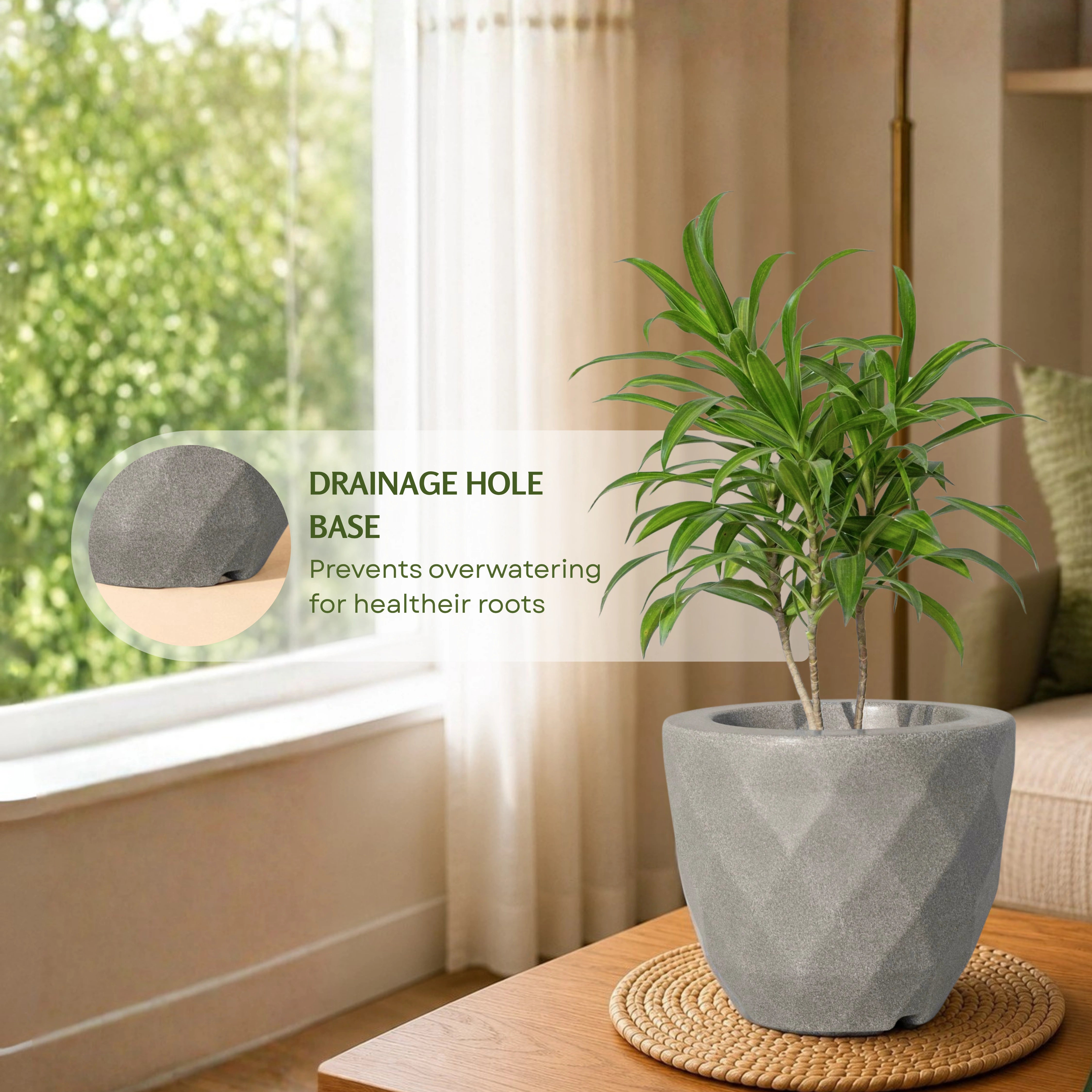Vaz Planter