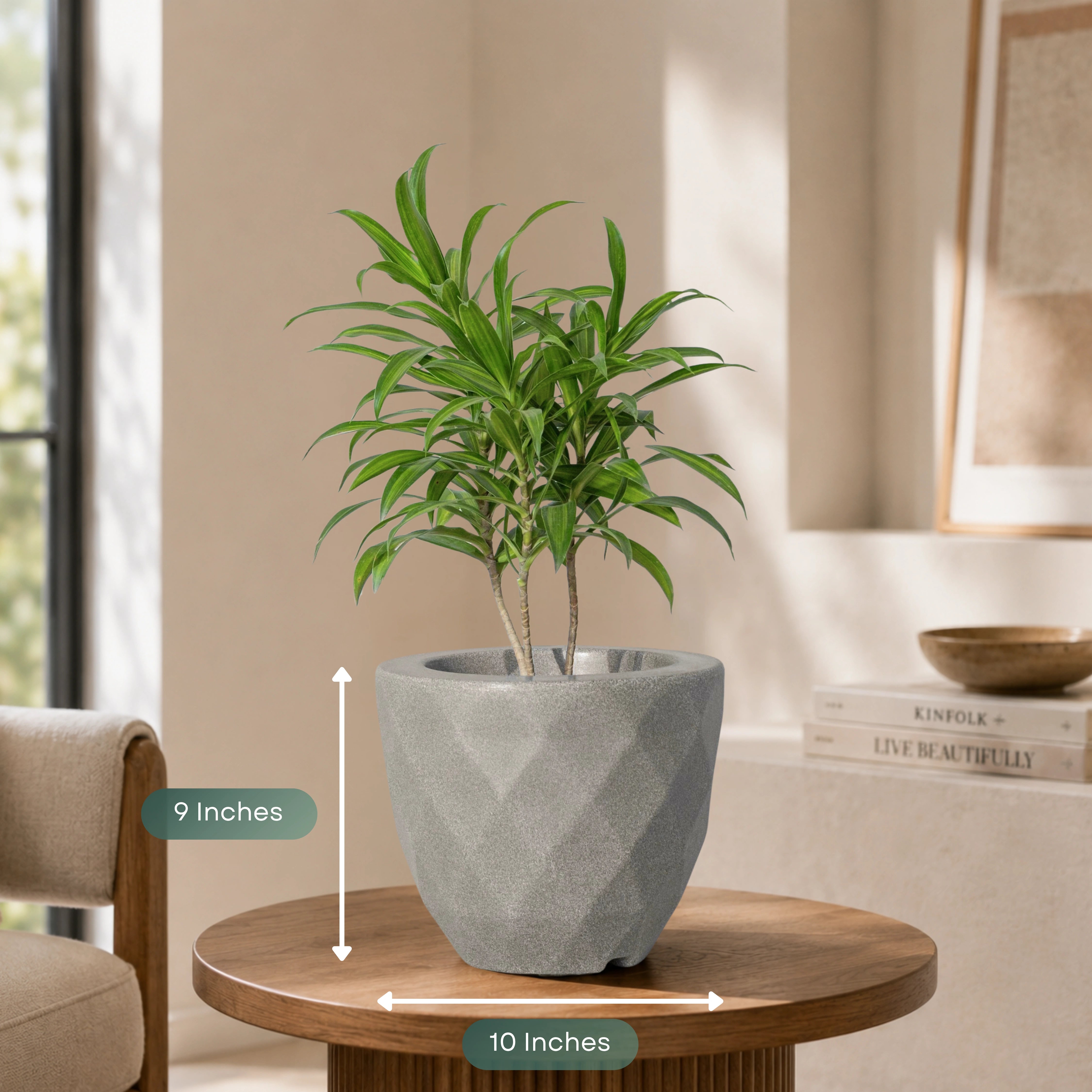 Vaz Planter