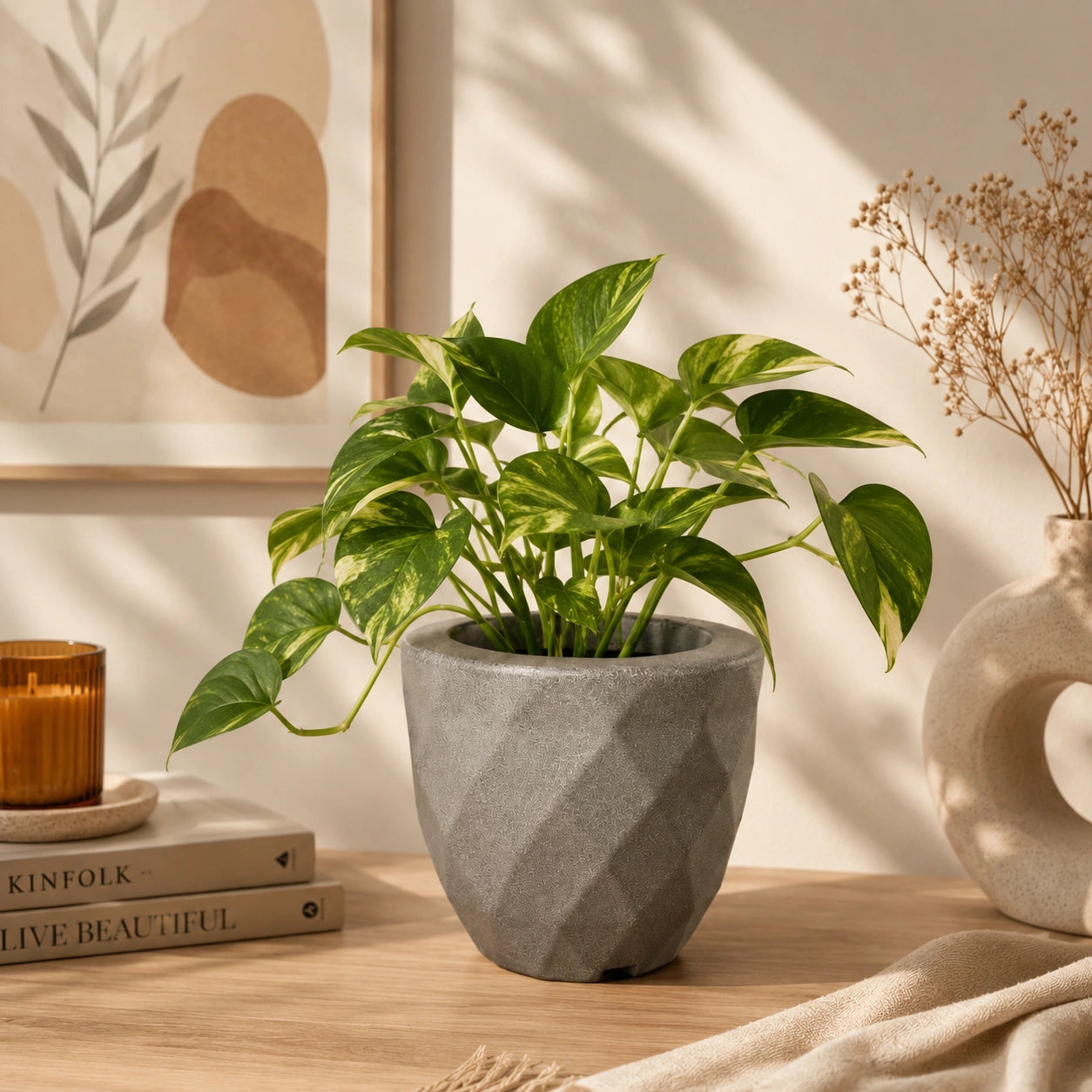 Vaz Planter
