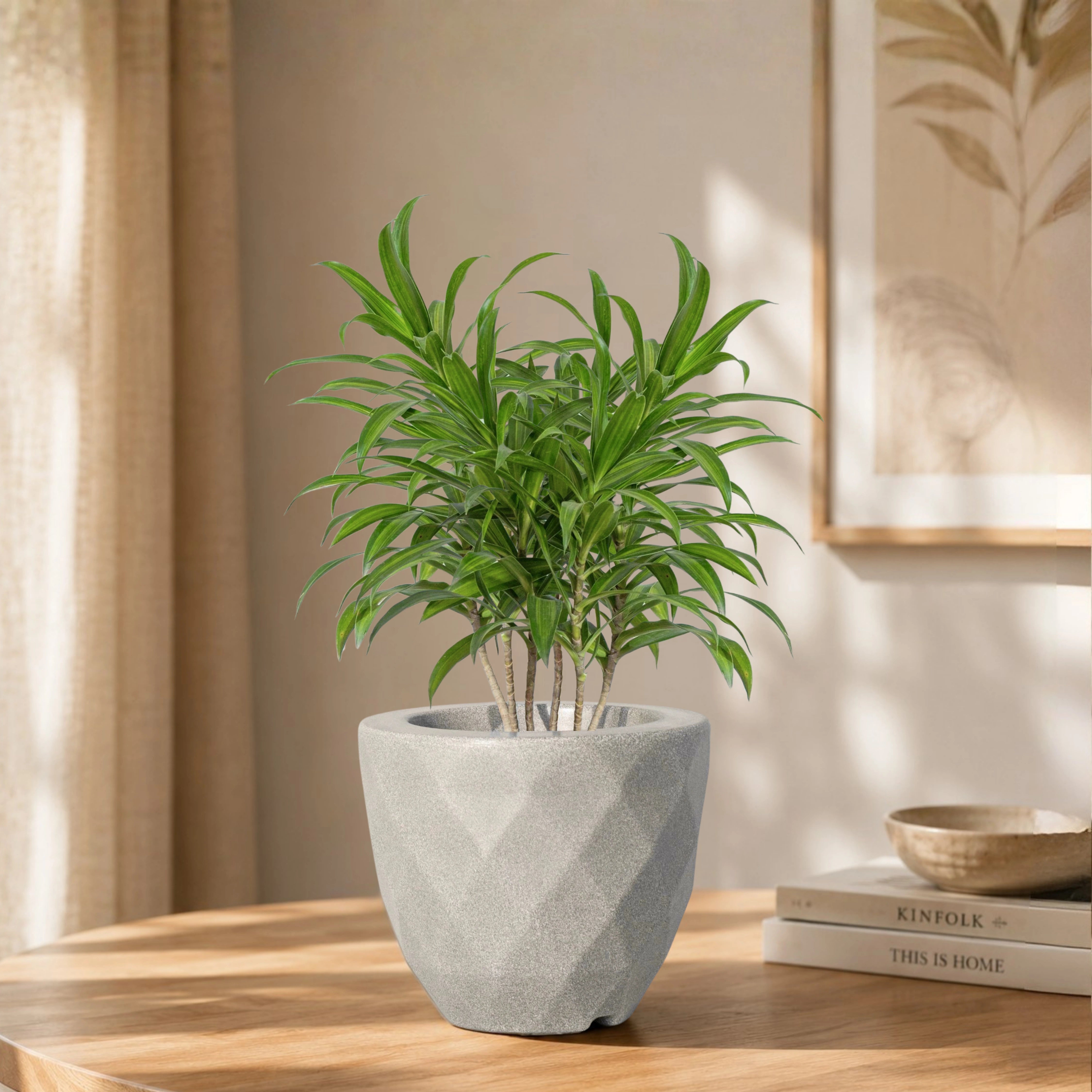 Vaz Planter