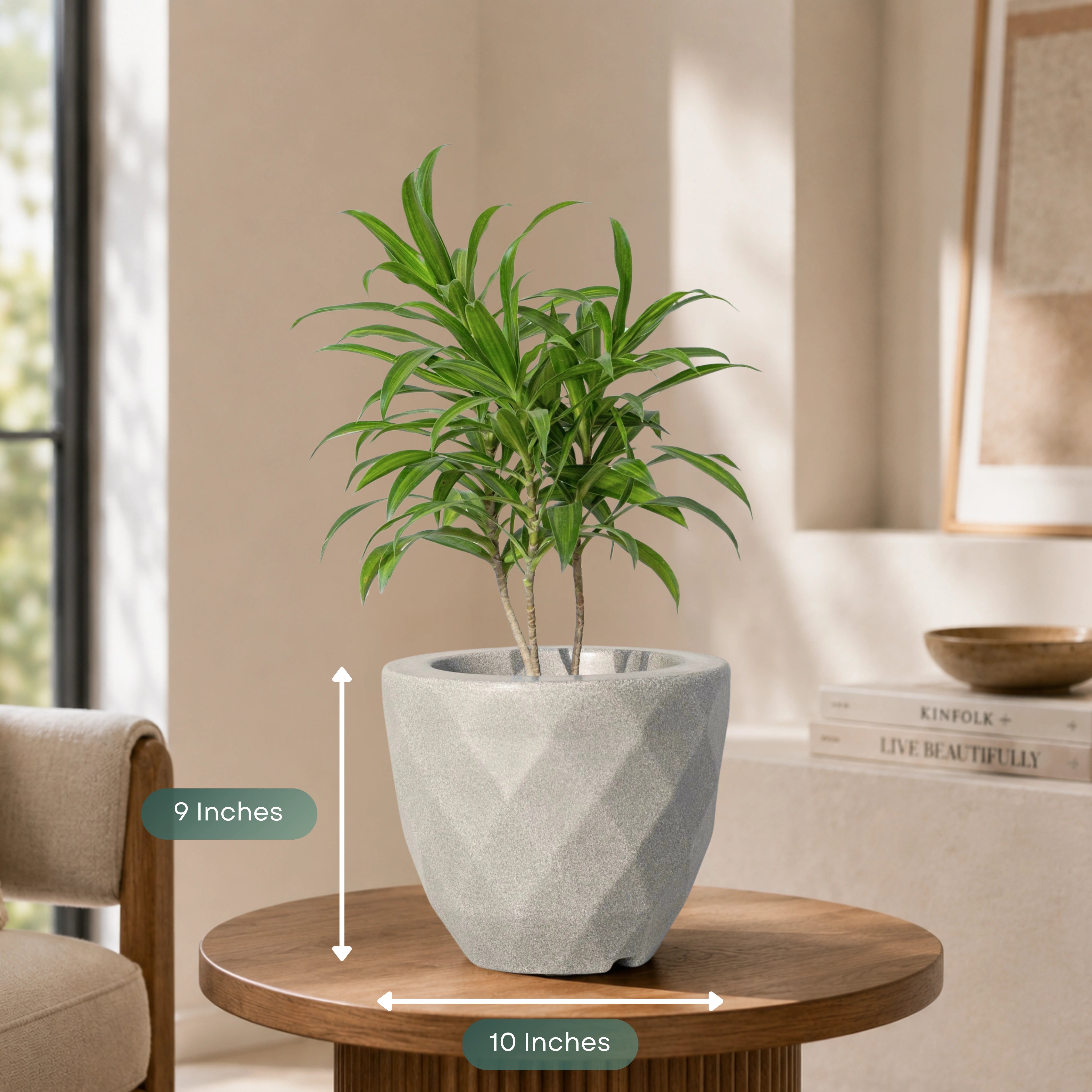Vaz Planter