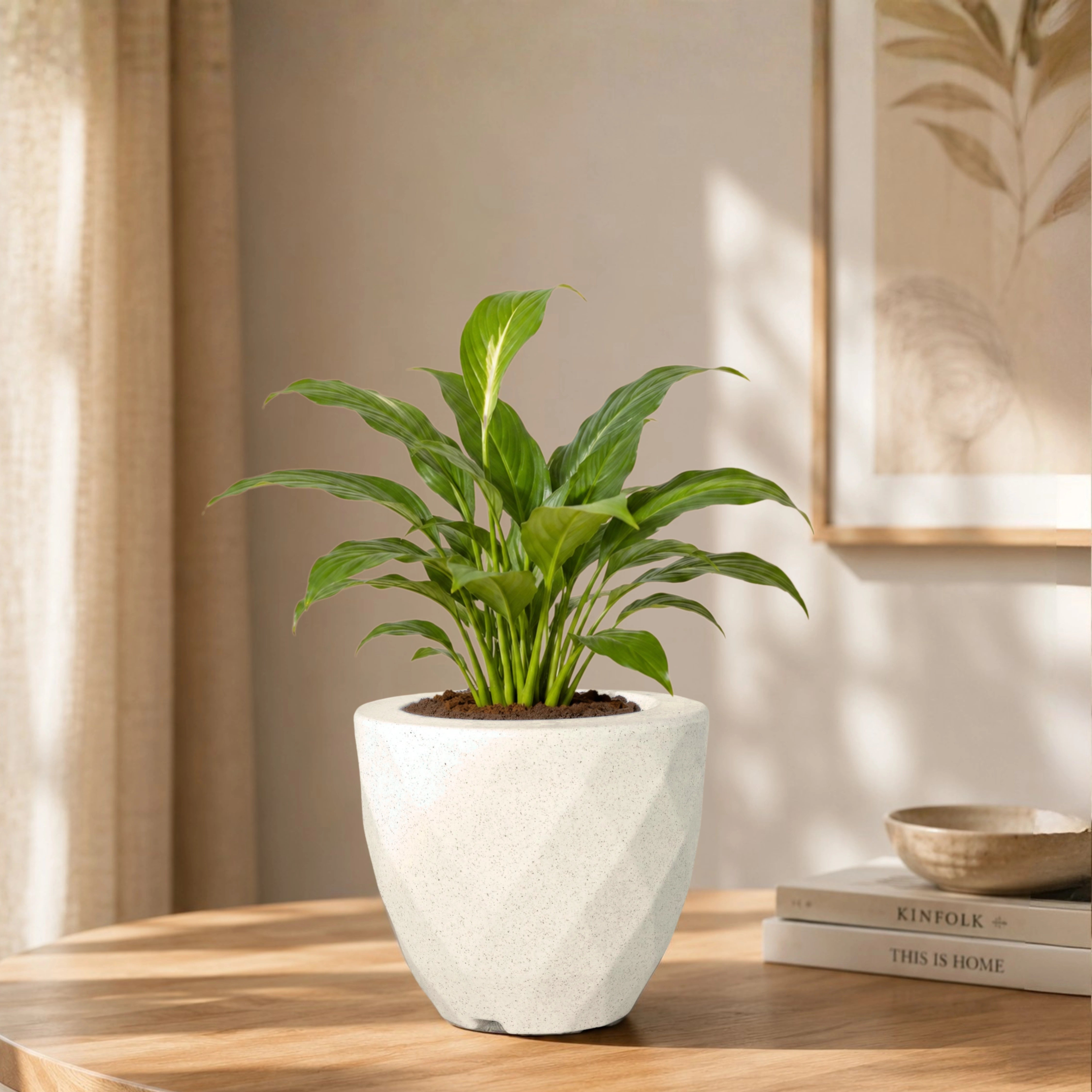 Vaz Planter