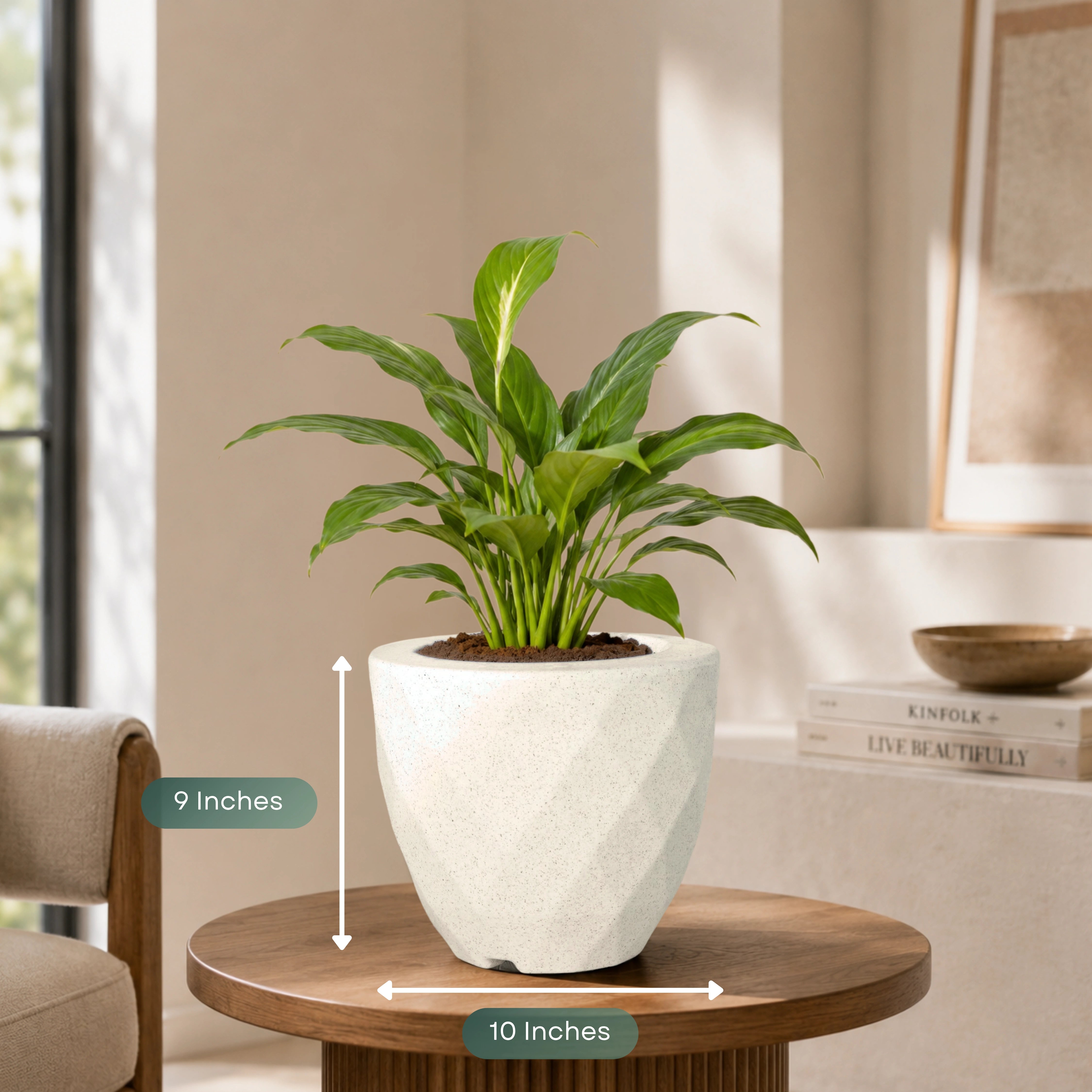 Vaz Planter