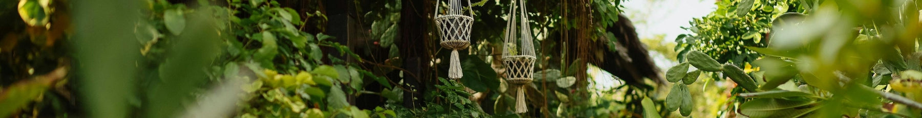 Planters