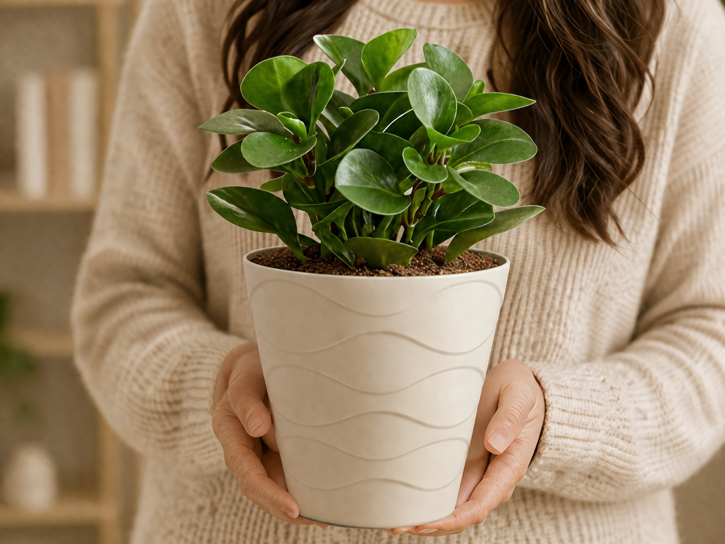 Swirl Tabletop Indoor Planter 