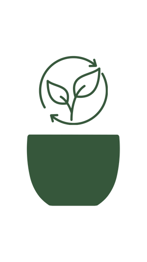 Repot every 3–4 months