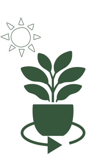 Rotate for even growth